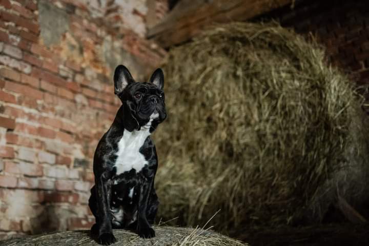 FB_IMG_1715325146478