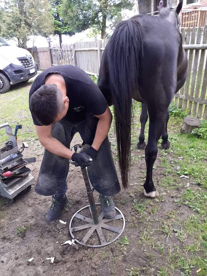 FB_IMG_1715331008988